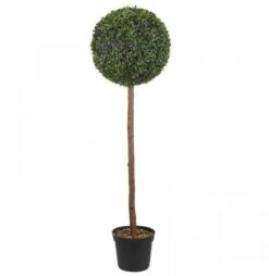 Smart Garden Uno Topiary Tree 120cm