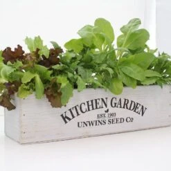 Unwins Homegrown Salad Kitchen Garden