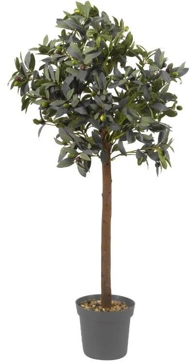 Smart Garden Olive Tree - Image 2