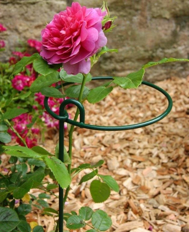 Poppy Forge Bunch Support