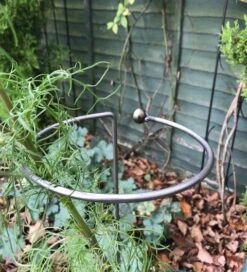 Poppy Forge Wraparound Support