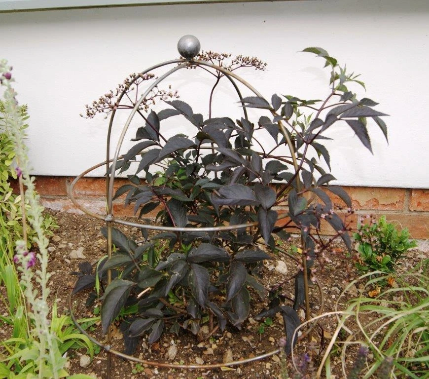 Poppy Forge Bell Cloche - Pack Of 2 - Image 3